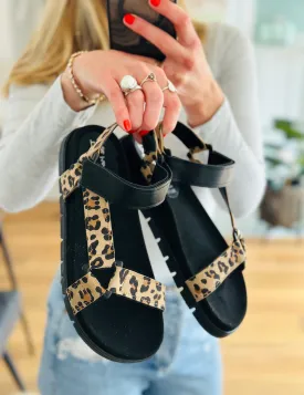 Trail-Blazer Leopard Hikers